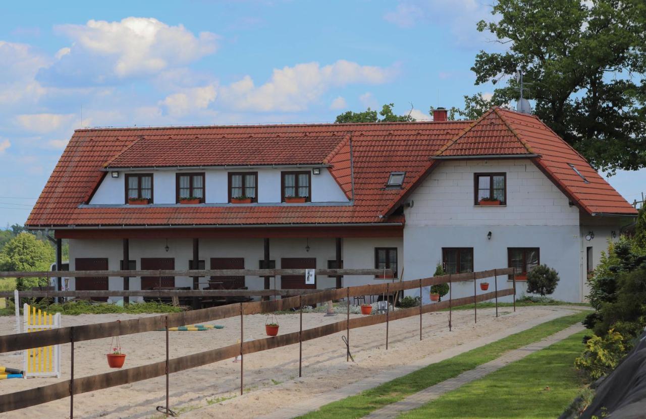 Hotel Ubytovani Pod Haniperkem à Vodňany Extérieur photo